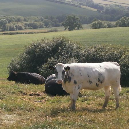 Harepath Farm Cottages 1 Exeter Exteriör bild