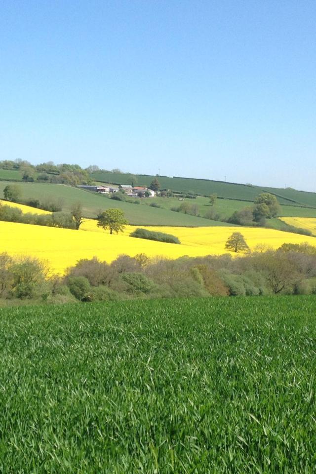 Harepath Farm Cottages 1 Exeter Exteriör bild