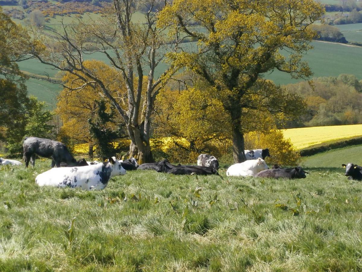 Harepath Farm Cottages 1 Exeter Exteriör bild